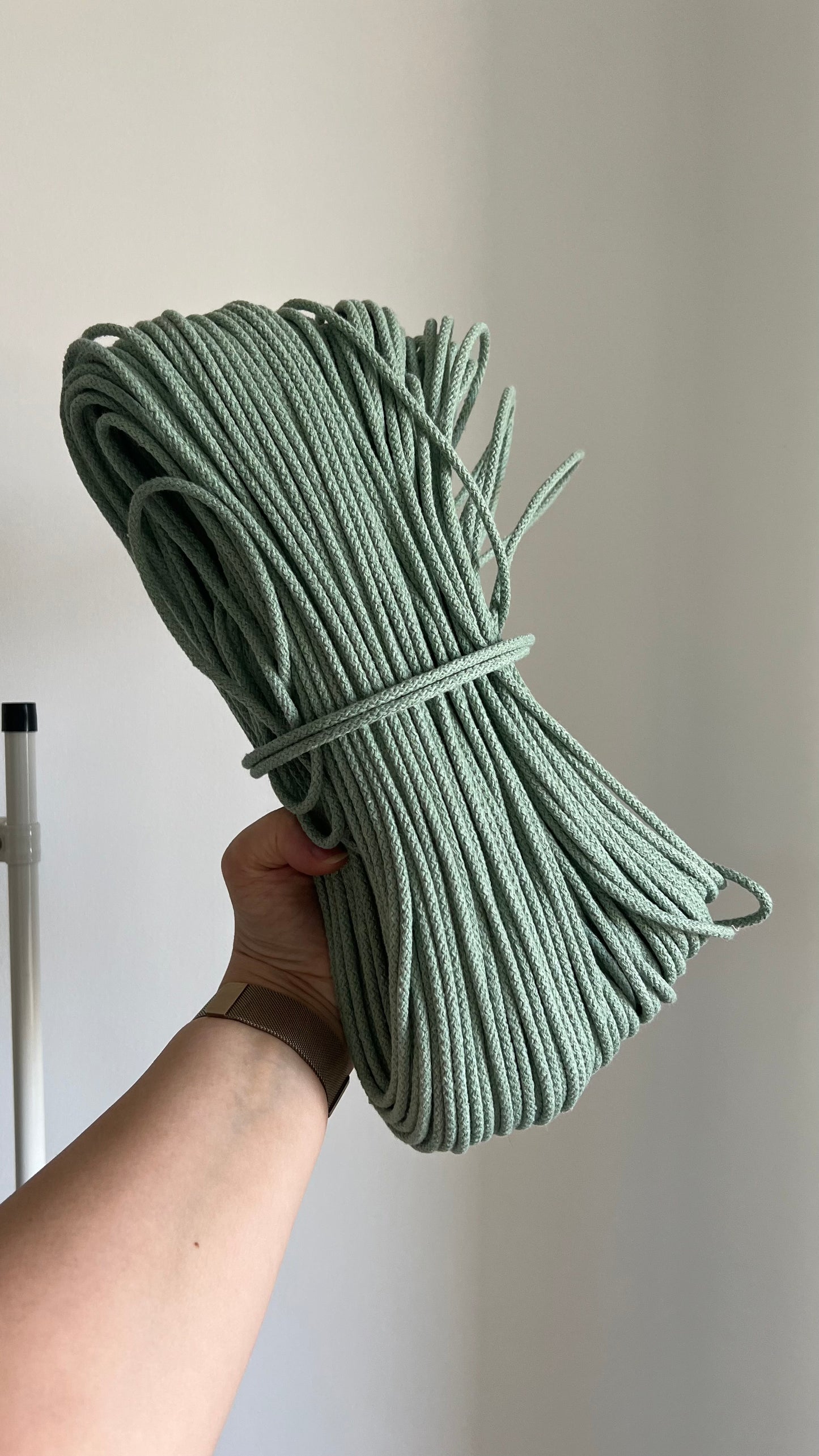 SUNNY BAG Small Size